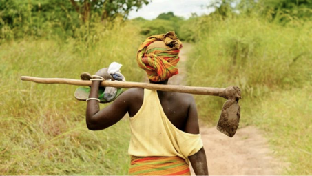 L'agriculture en Afrique Subsaharienne  quels enjeux et défis